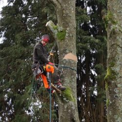 483824902_638491732259845_7755966260409364883_n