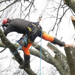 484048711_638491868926498_1877575419739700954_n