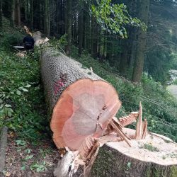 634659292_899037132871969_5834449494816038300_n