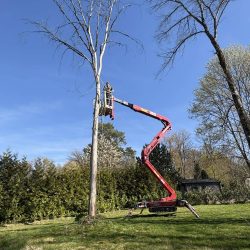 669931281_943868308388851_7738897712538588897_n